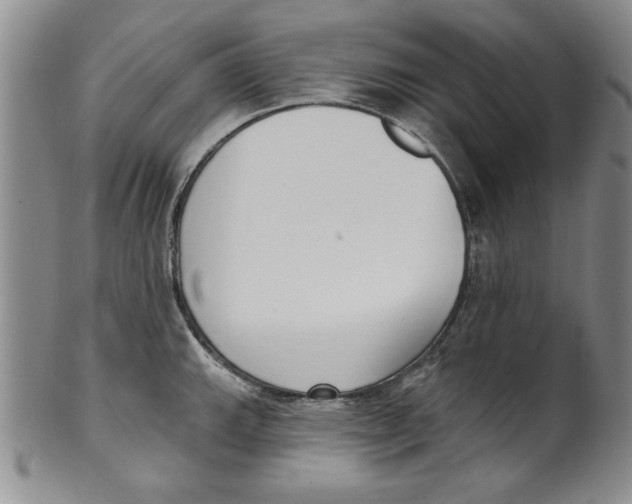 X0000101981143200808081609