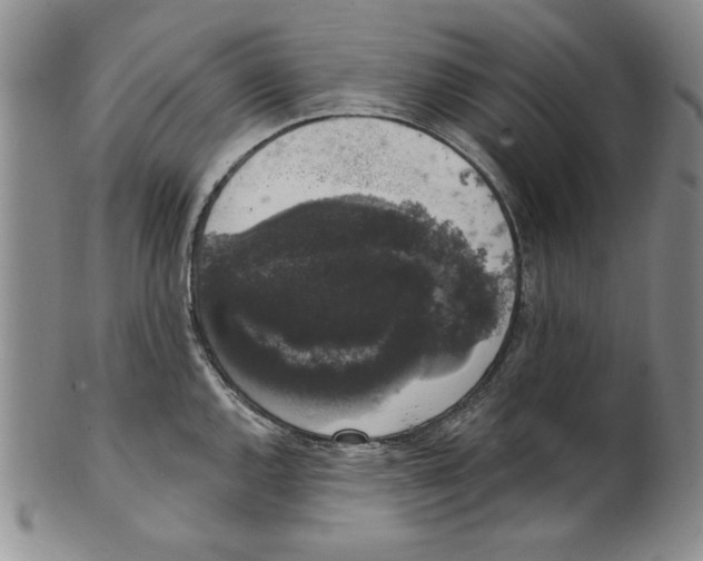 X0000101981144200808081609