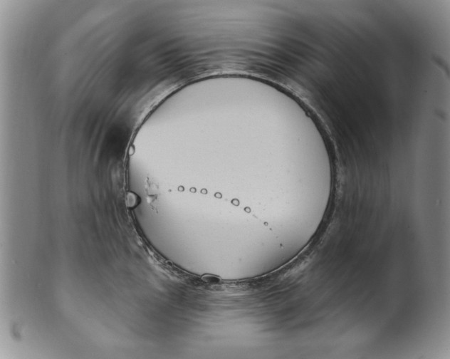 X0000101981145200808081609