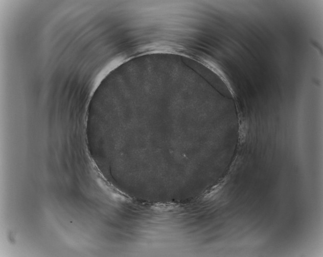 X0000101981146200808081609