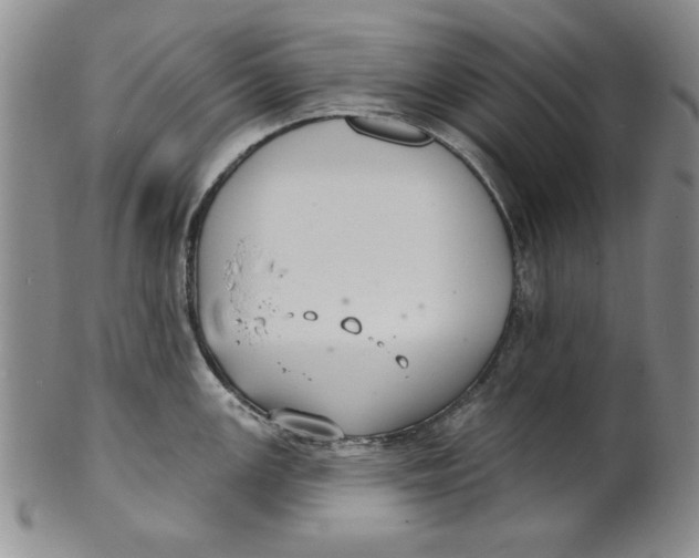 X0000101981147200808081609