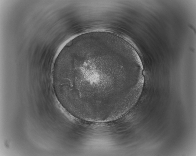 X0000101981148200808081609