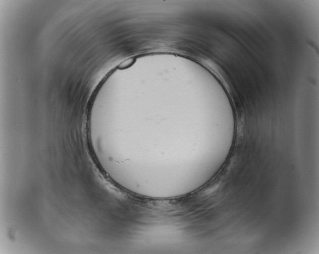 X0000101981149200808081609