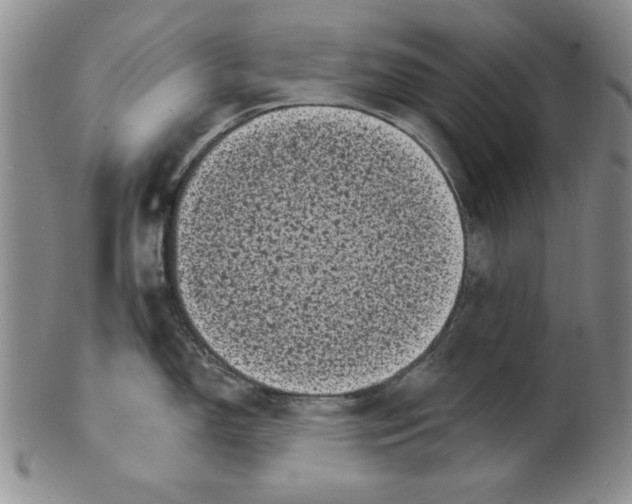 X0000101981150200808081609