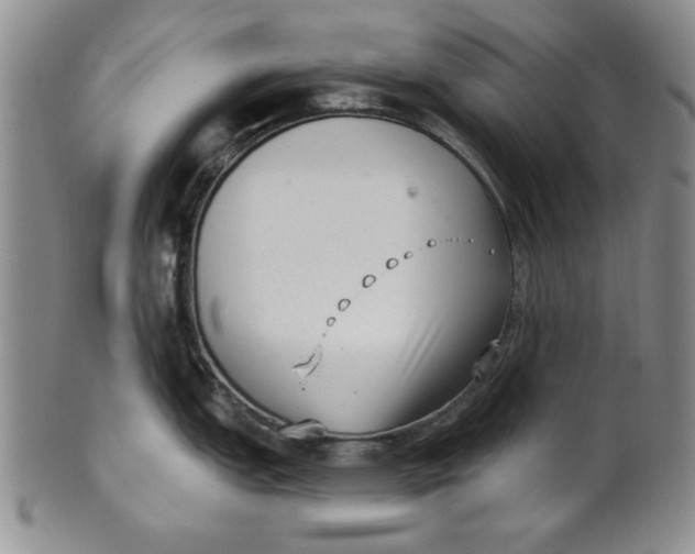 X0000101981151200808081609