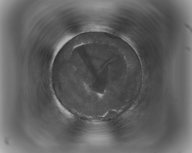 X0000101981152200808081609