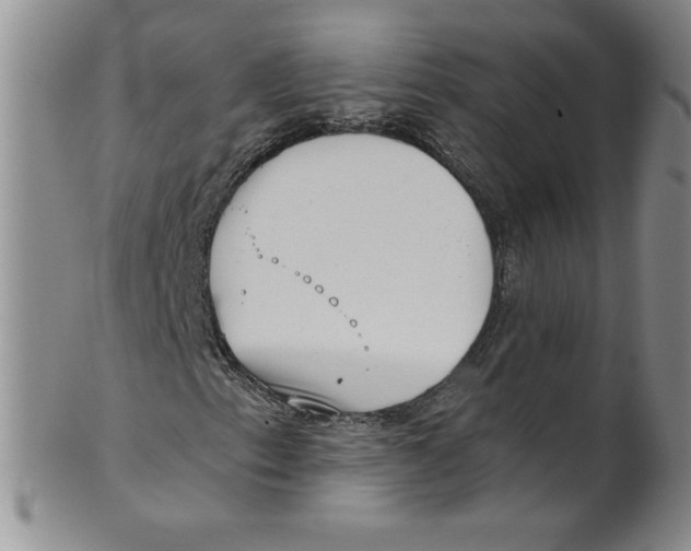 X0000101981153200808081609