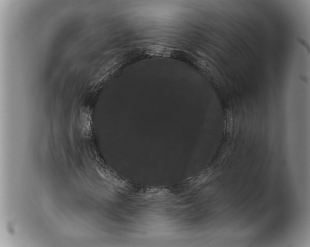 X0000101981154200808081608