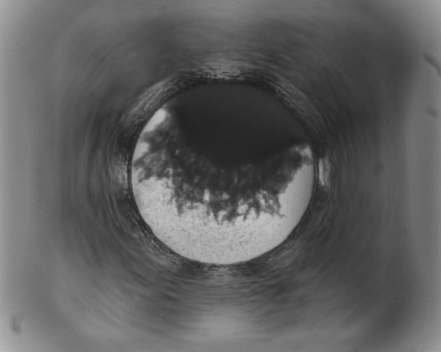 X0000101981155200808081608