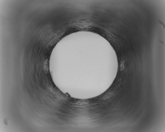 X0000101981156200808081608