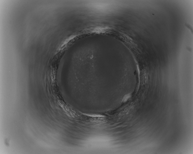 X0000101981158200808081608