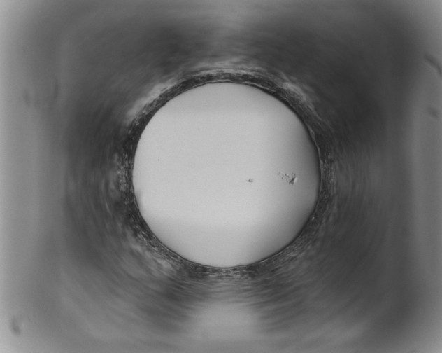 X0000101981159200808081608