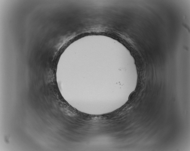 X0000101981160200808081608