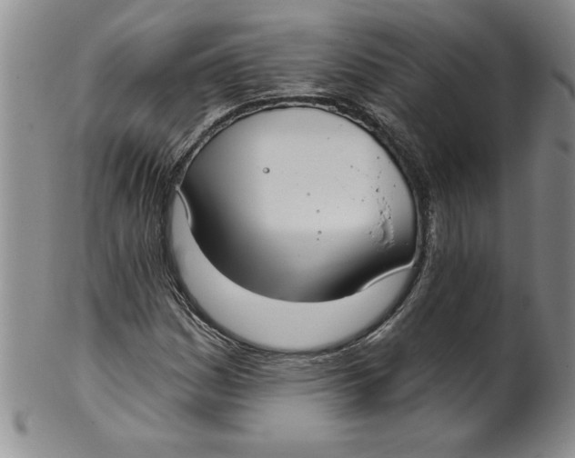 X0000101981161200808081608