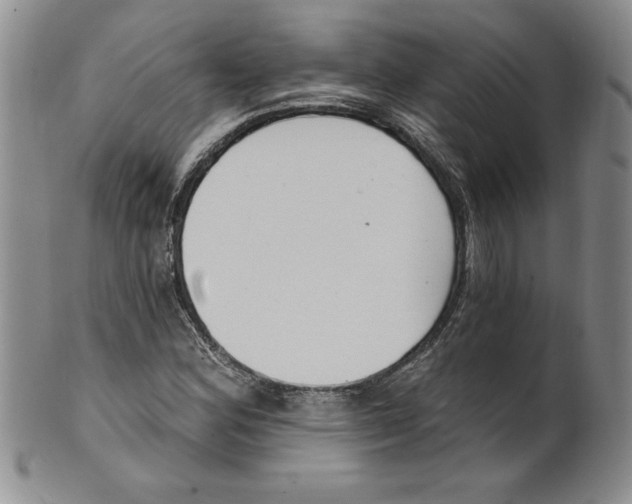 X0000101981164200808081608