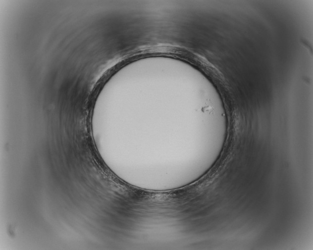 X0000101981166200808081608