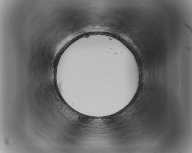 X0000101981167200808081608