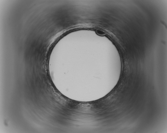 X0000101981168200808081608