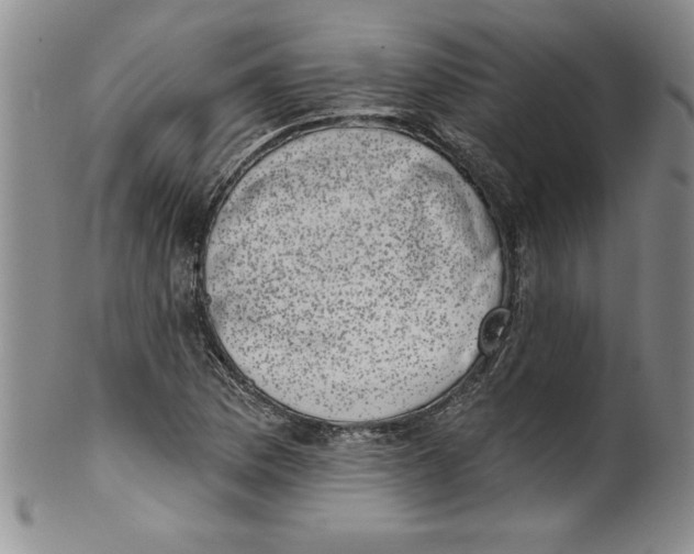 X0000101981169200808081608