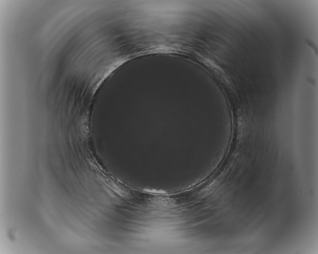 X0000101981170200808081608