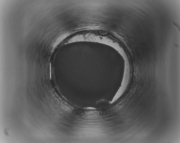 X0000101981171200808081608