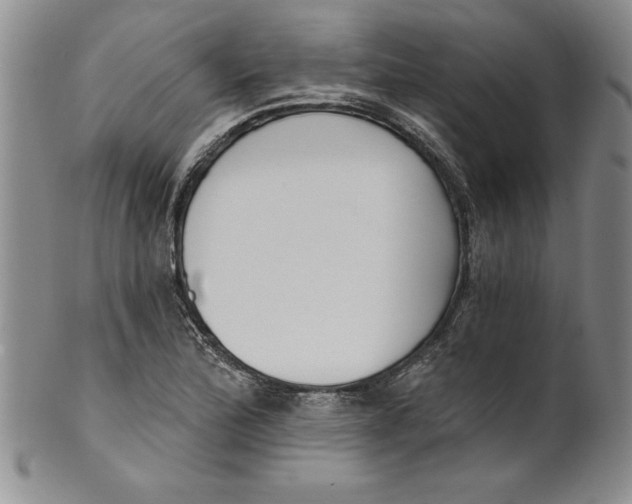 X0000101981172200808081608