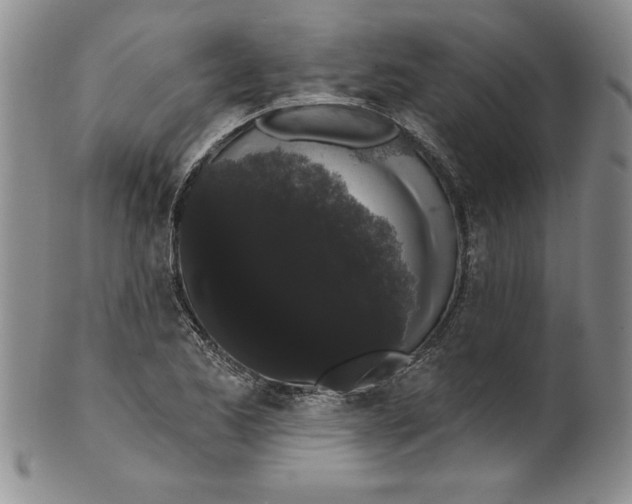 X0000101981173200808081608