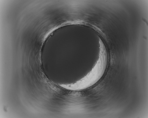 X0000101981174200808081608