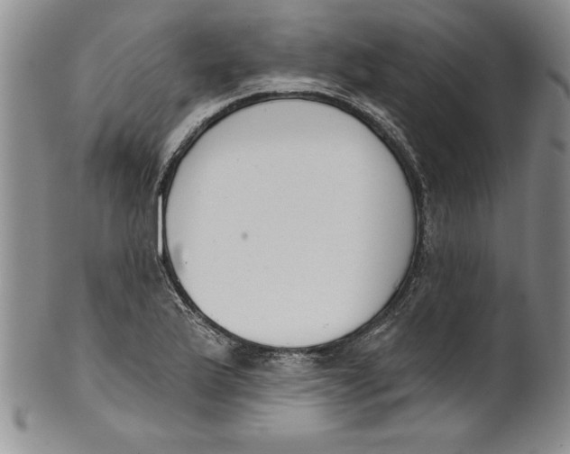 X0000101981175200808081608