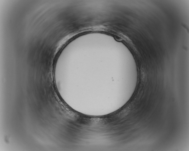 X0000101981176200808081608