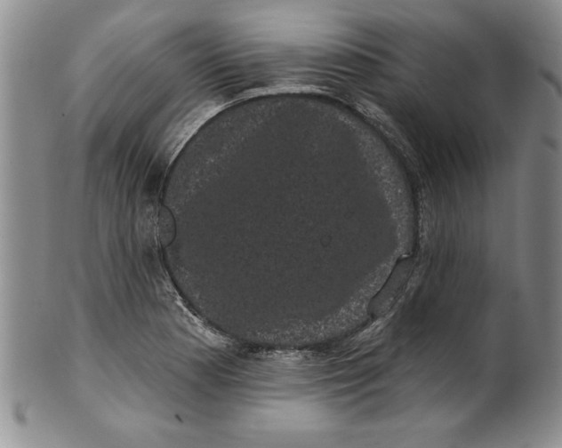 X0000101981177200808081608