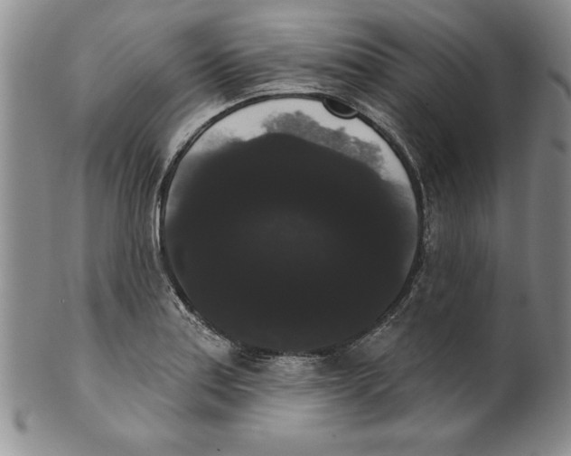 X0000101981179200808081608