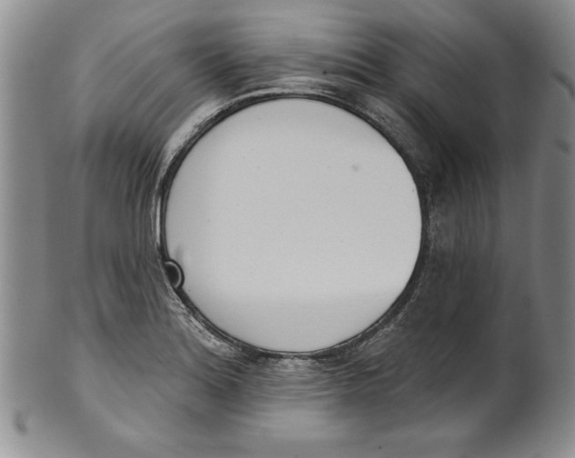 X0000101981180200808081608