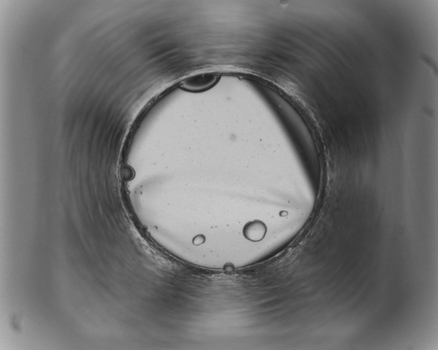 X0000101981181200808081608