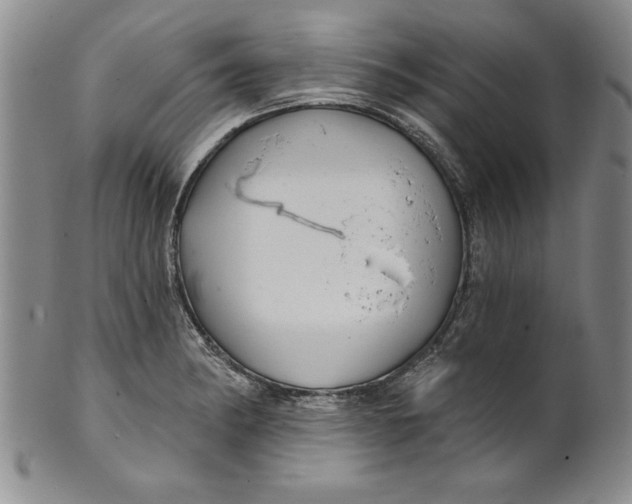 X0000101981182200808081608