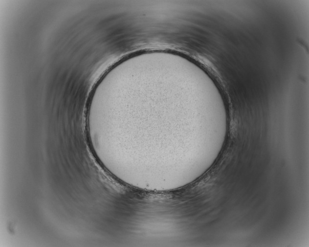 X0000101981183200808081608