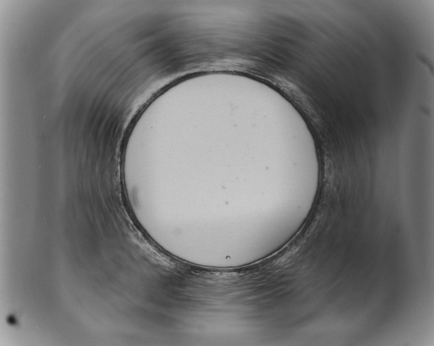 X0000101981184200808081608