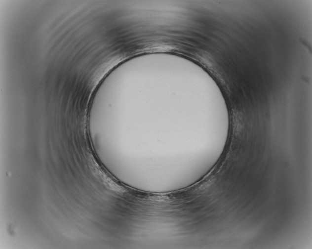 X0000101981186200808081608