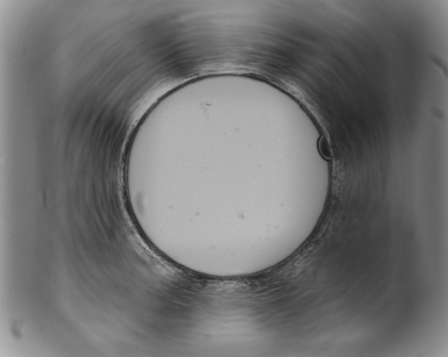 X0000101981187200808081608