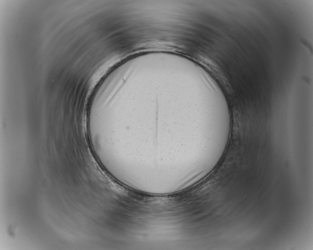 X0000101981188200808081608