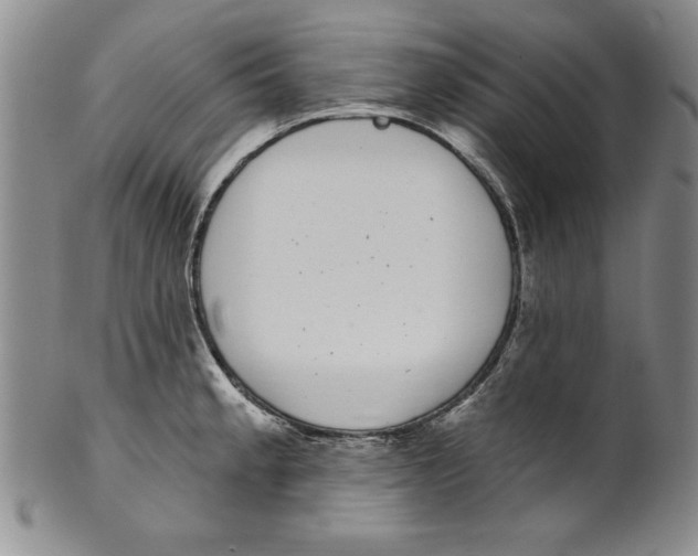 X0000101981189200808081608