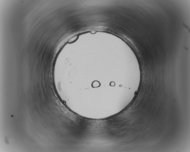 X0000101981192200808081608