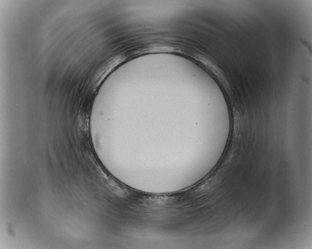 X0000101981193200808081608