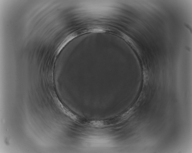 X0000101981194200808081608