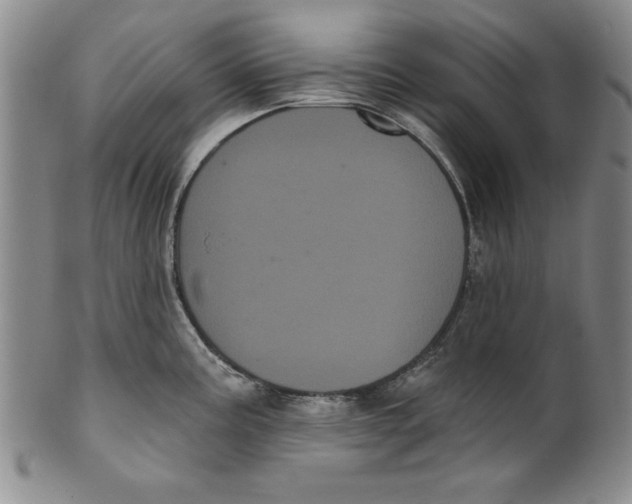 X0000101981195200808081608