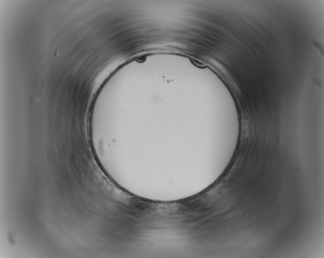 X0000101981196200808081608