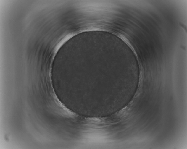 X0000101981197200808081608