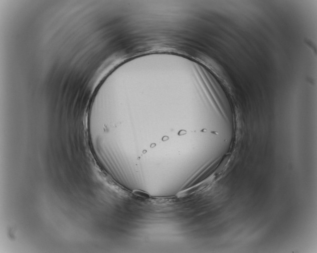 X0000101981198200808081607