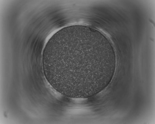 X0000101981200200808081607