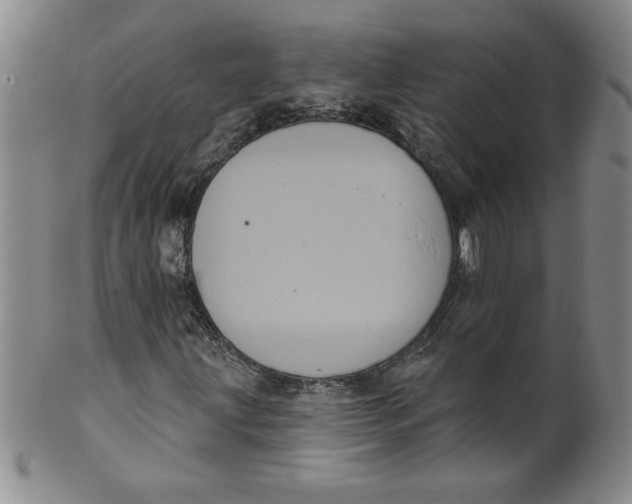 X0000101981203200808081606